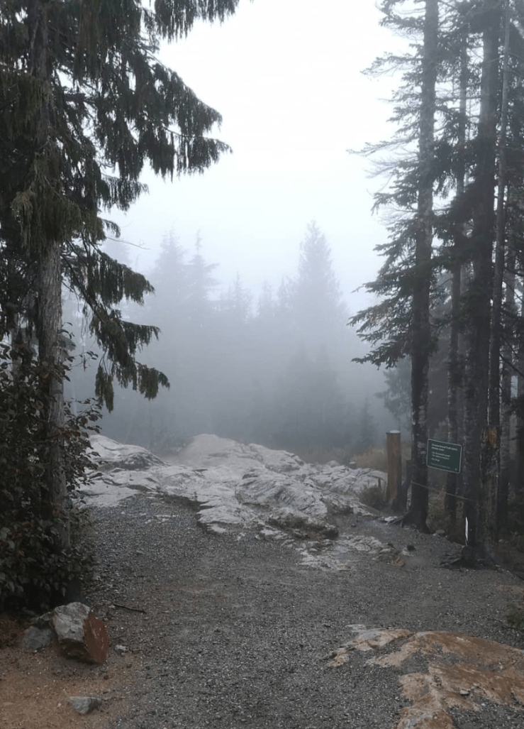 Screen Shot 2019-12-26 at 2.24.37 PM