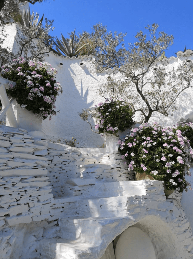 Screen Shot 2019-12-26 at 3.34.08 PM